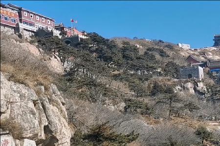 南山门是泰山顶吗