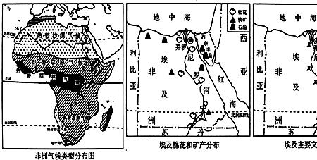 埃及人口分布特点和原因