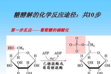 G在生物化学中表示什么