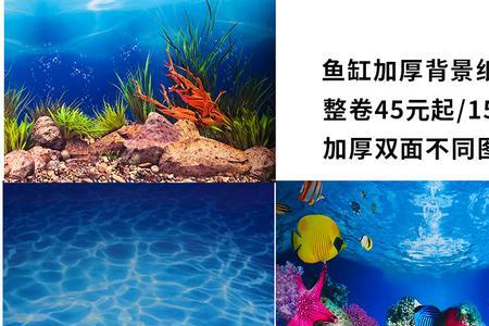 60公分鱼缸背景纸怎么选