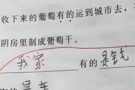 也许不过造句