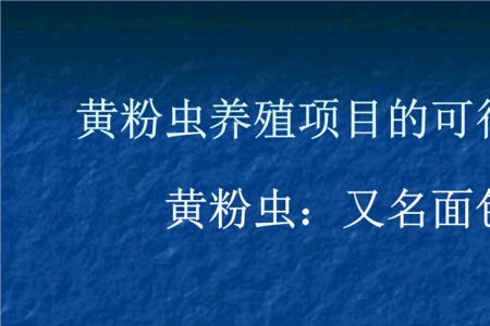 面包虫销售渠道有哪些