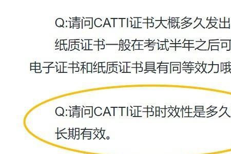 catti二级是什么水平