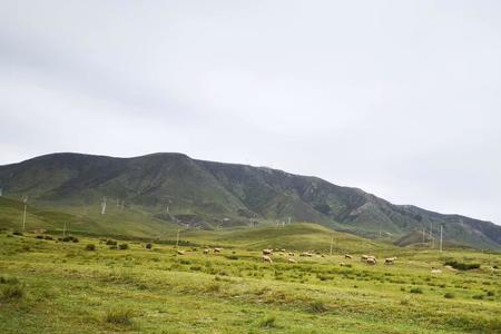 江西南昌海拔比内蒙古低吗