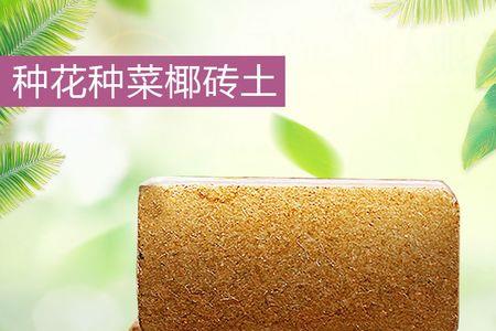 椰砖种菜优缺点