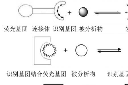 化学中可塑性什么意思