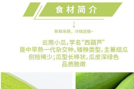 广州可以种植云南小瓜吗