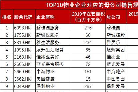 碧桂园集团母公司叫什么名字