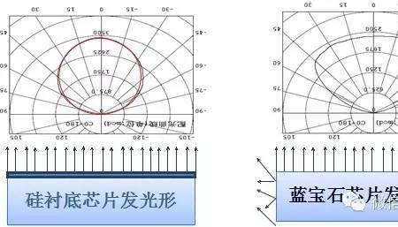 小牛寿命一般多少年