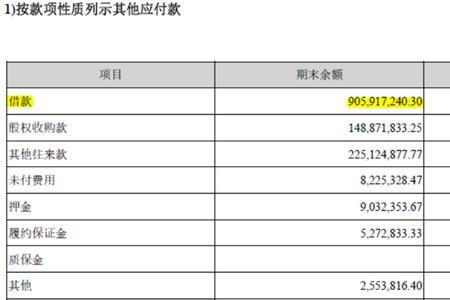 亏现金流和亏损的区别