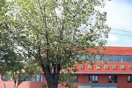 天津市河西区东楼小学怎么样