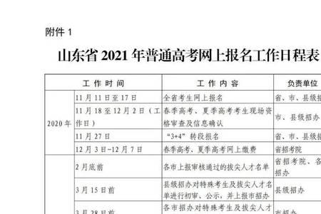 山东高考报名电子照尺寸多大的