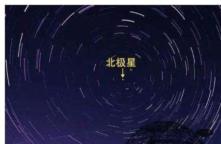 紫薇星座是哪个