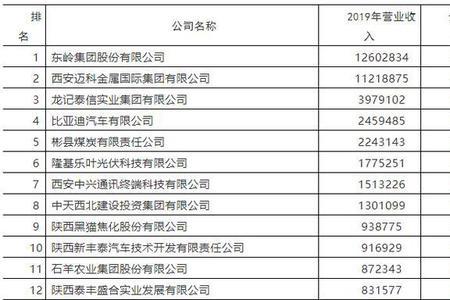 延安百强企业