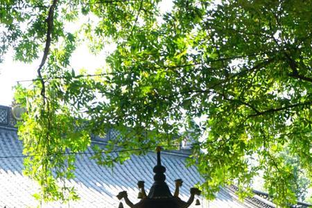 湖州万寿禅寺门票