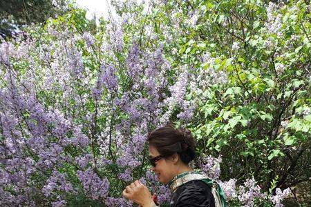 走过花季拍摄地