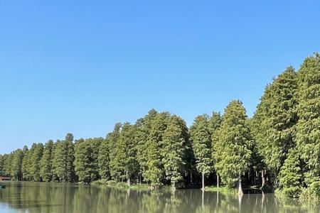 铜陵水上森林从哪里进去