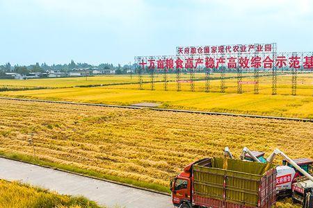 沃得粮仓能装多少斤水稻