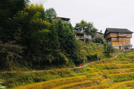 层层梯田的近义词