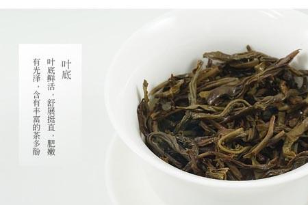 启业单丛茶是什么茶