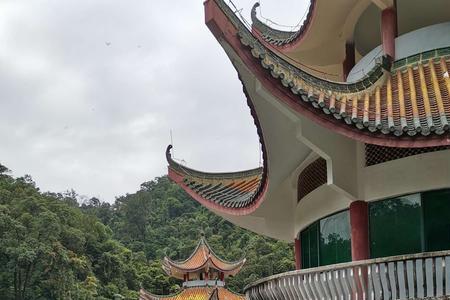 重阳节爬七星岩还是鼎湖山