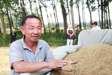 农村家庭存粮食的叫什么