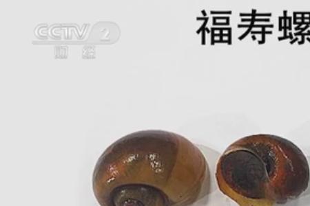 福寿螺名字由来