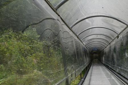 黄山玻璃栈道票含玻璃滑道吗