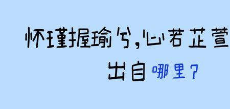 与怀瑾握瑜类似的成语