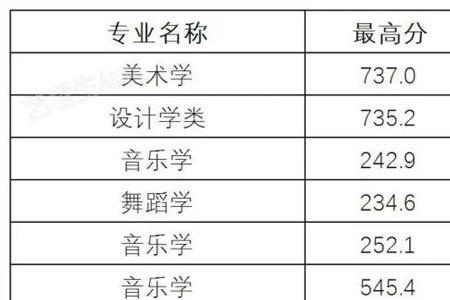 404分可以上什么艺术类大学