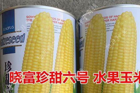 珍早甜糯56是转基因玉米吗