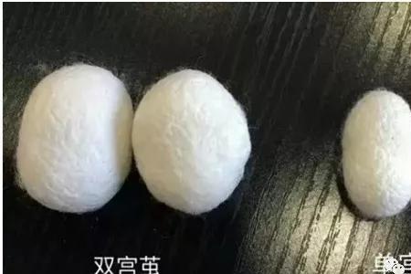 金嘉赢蚕丝被真的好吗