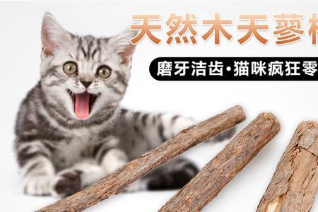 猫咪木头磨牙棒的好处坏处