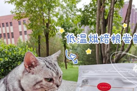 猫粮烘焙粮和鲜肉粮哪个好