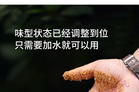 自配鲤鱼窝料