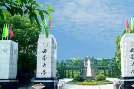 西南大学与华东理工大学哪个好