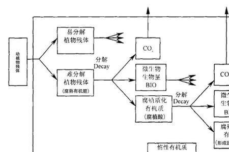 为什么会有有机酸