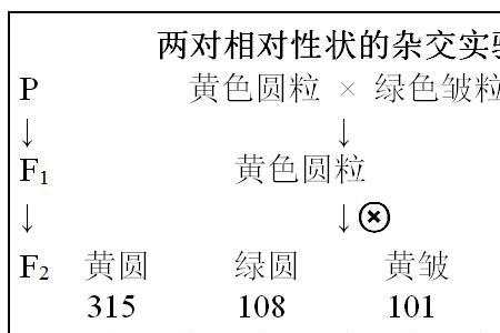 一朵花产生的雌雄配子数量比例