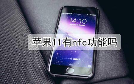 苹果12pm有nfc功能吗