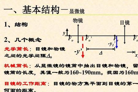 正相差显微镜原理