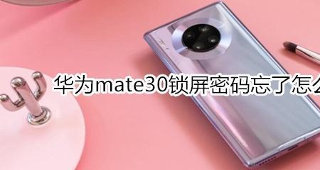 华为mate30pro热点怎么取消密码