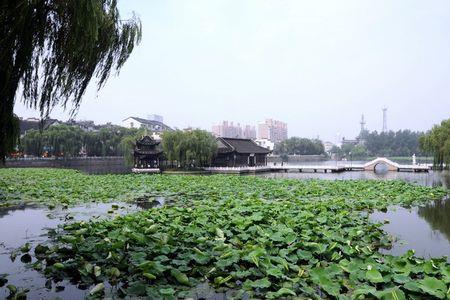 扬州荷花池公园荷花开放时间