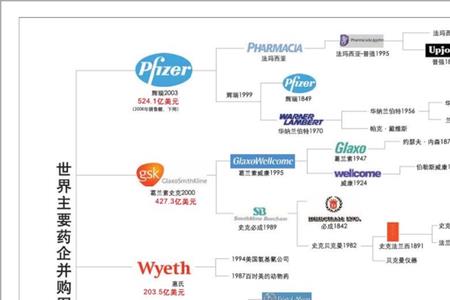 辉瑞制药是哪个家族的