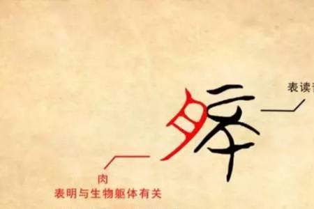 子的形声字有哪些字