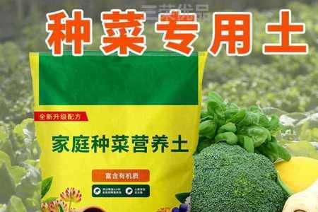 卫莱仕家庭植蔬栽培机怎么用