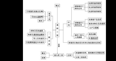 基因工程的定义