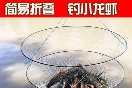 用笼子捕鱼还是钓鱼高