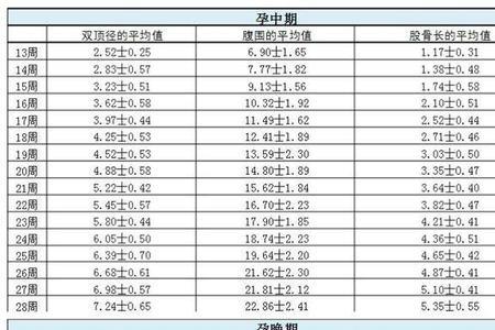 头臀读音