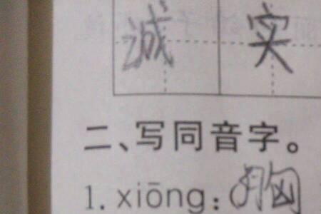 写同音字是什么意思