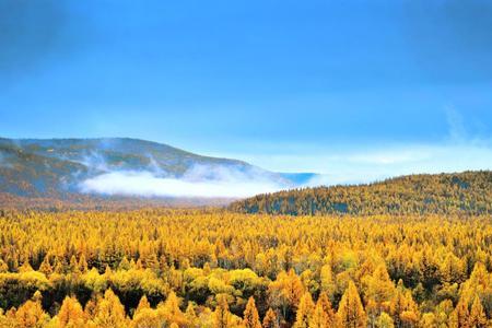 大兴安岭地区最高山是有多高